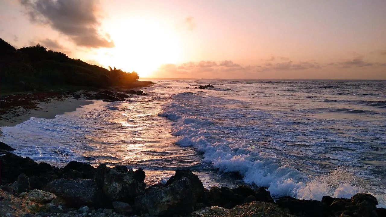 Studio Avec Grande Piscine, Plage Cannelle Caraibes Saint-François Guadeloupe